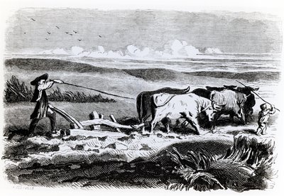 Illustrazione da 